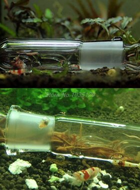 极速Snail Leech Vivarium Pest Catch Trap Shrimp Worm Planari
