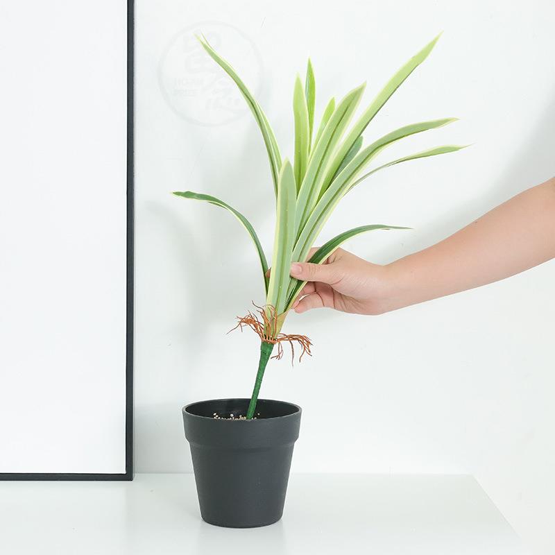 。Special simulation green plant Phnom Penh orchid leaf hand