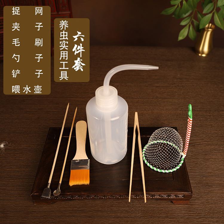 蟋蟀用具大全蛐蛐罐蟋蟀黑虫油葫芦鸣虫饲养罐用品斗草提笼套装