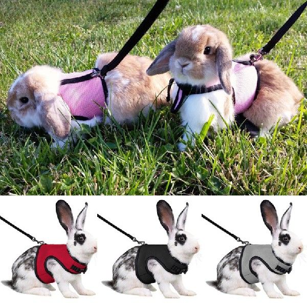 Newest Cute Rabbit Harness And Leash Set Bunny Pet Accessori