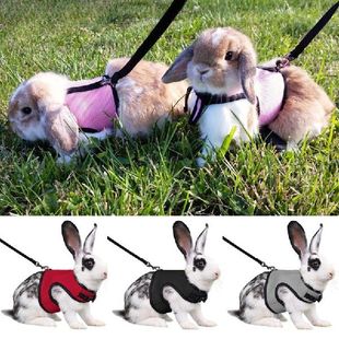 Newest Cute Rabbit Harness And Leash Set Bunny Pet Accessori