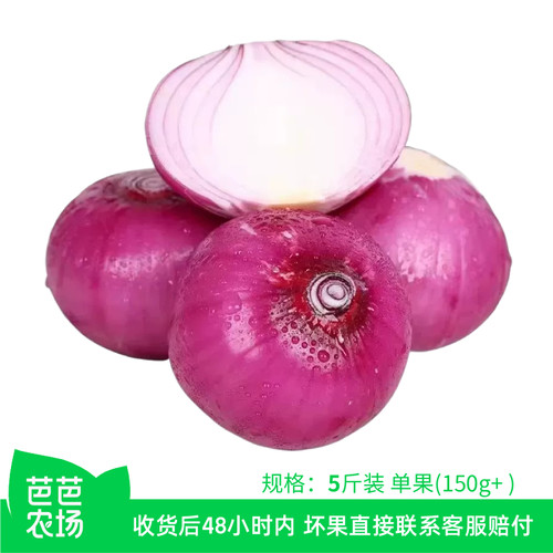 【芭芭农场】洋葱5斤（单果150g+）鲜辣爽口