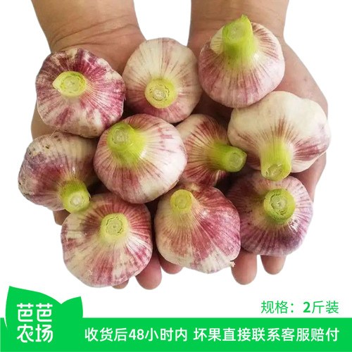 【芭芭农场】紫皮大蒜2斤装 香辣美味