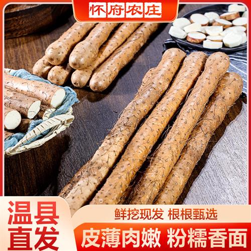 新鲜铁棍山药5斤装河南焦作温县特产正宗淮山铁杆山荮怀山药直销