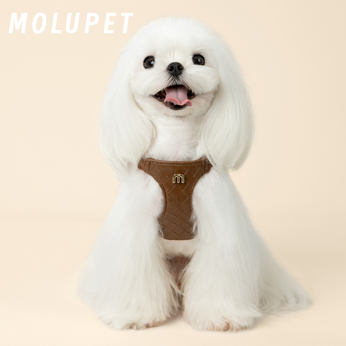 MOLU PET狗狗牵引绳小型犬狗绳子遛狗绳背心皮革防挣脱胸背带小马