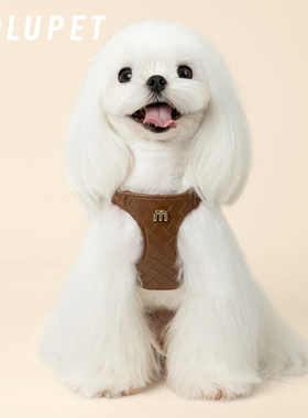 MOLU PET狗狗牵引绳小型犬狗绳子遛狗绳背心皮革防挣脱胸背带小马