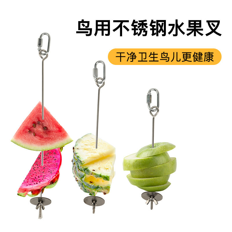 鸟用鹦鹉可挂水果叉不锈钢蔬菜玉鸟禽喂食器/喂水器