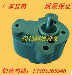 B16 B25 极速齿轮油泵CB B40 B10 B32 B50耐磨电动铸铁电机