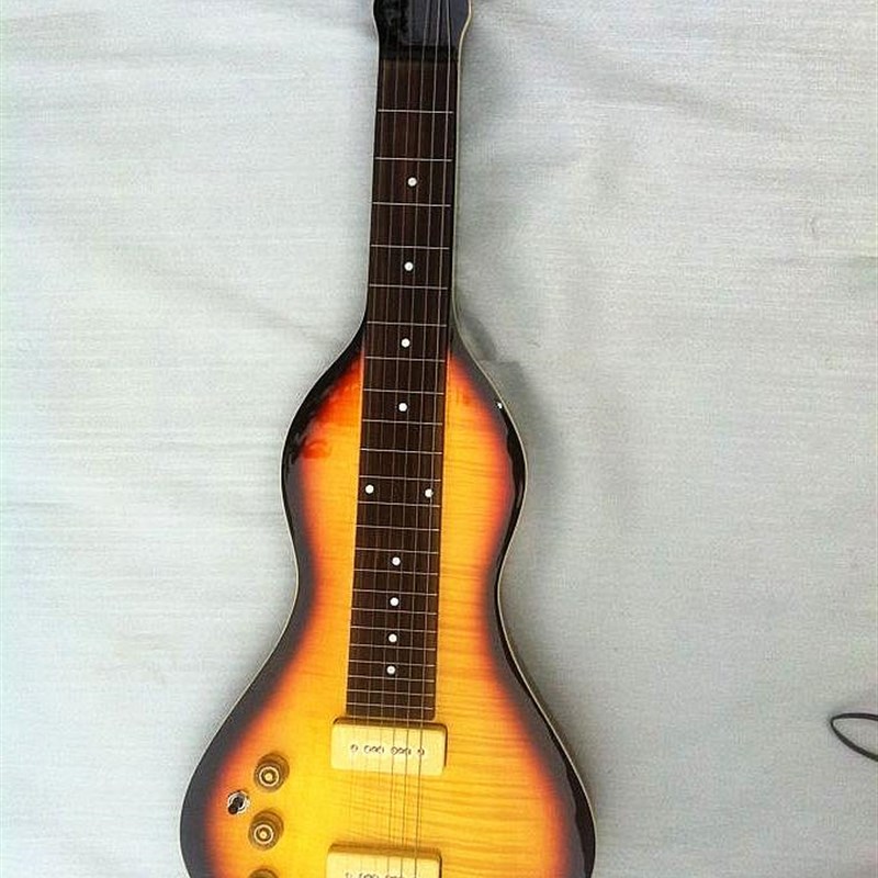 欧洲新款夏威夷电吉他滑棒吉他个性电吉他初学者学生成人儿童通用