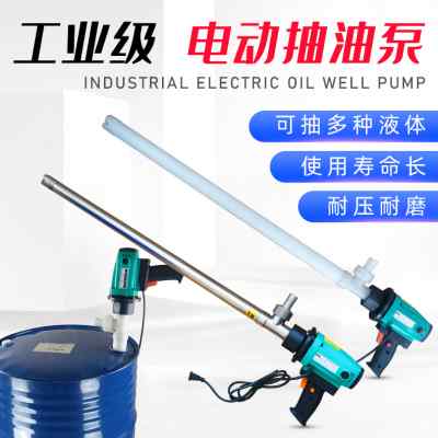 电动抽油泵手提式防腐蚀柴油加油泵220V大功率RPP塑料化工抽液泵