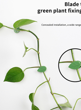 10PCS Plant Stent  Plant Climbing Wall Fixture Rattan Vine B