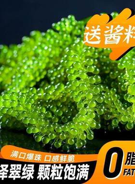 爆浆海葡萄新鲜可食用即食海葡萄可吃儿童食品级100g官方旗舰店