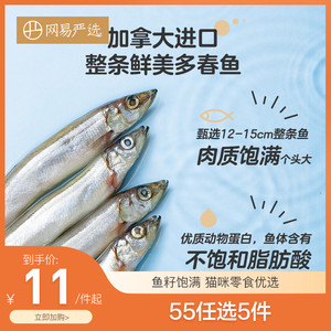 速发耐用家庭小干猫零食冻鱼干满籽多春营成幼猫零食鱼养增肥发鳃