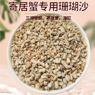 速发菲律宾沙珊瑚砂蟹居寄专用沙壳贝砂免洗海缸白细沙鱼缸造景