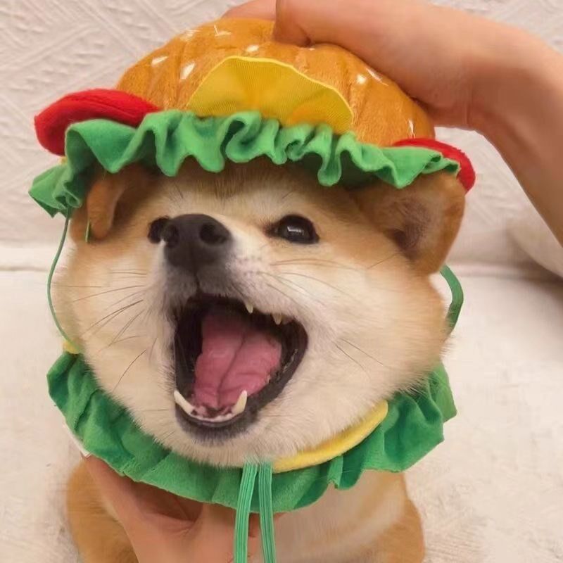 现货速发猫咪汉堡头套搞怪可爱头饰小型犬网拍红照装扮服饰品