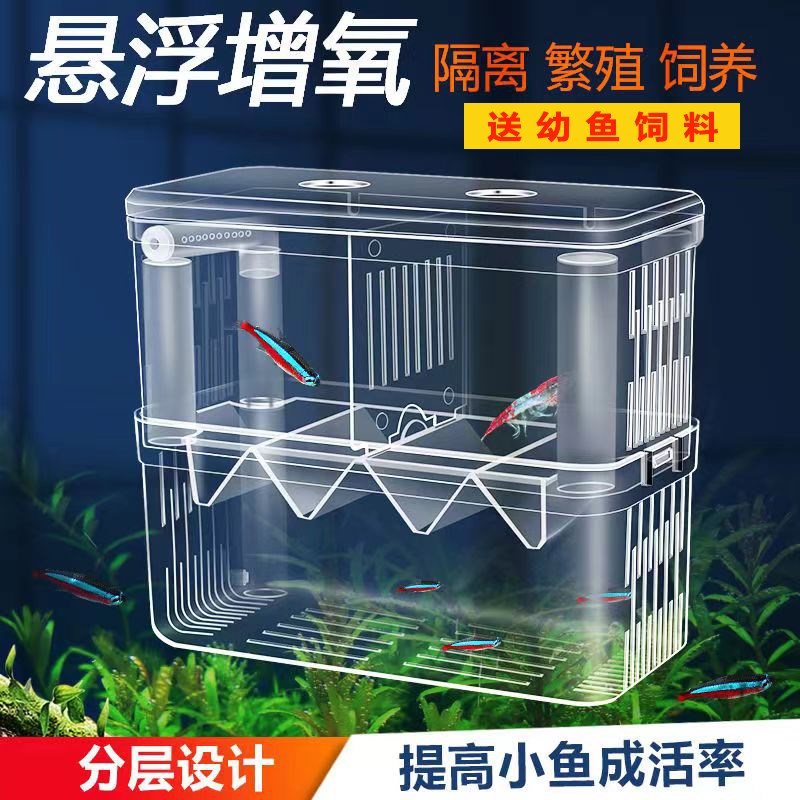 速发鱼盒隔离盒孵化缸孔雀鱼繁殖盒热带鱼小鱼幼鱼大小号孵化产器
