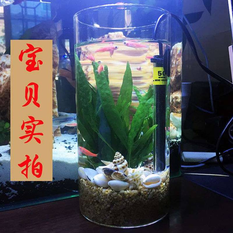 速发小鱼缸加热棒外置调温迷你加热器防爆小型超短乌龟缸低水位加