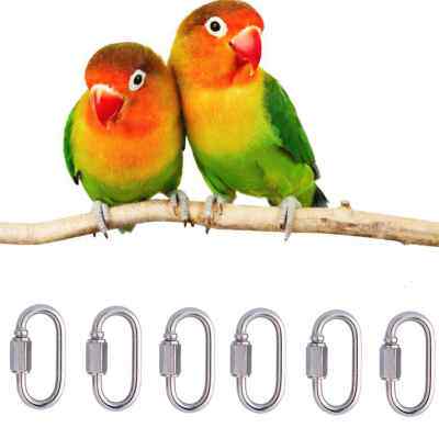 速发6 Prot y Makig Pts Hooks Pet Bird Hagig Cage