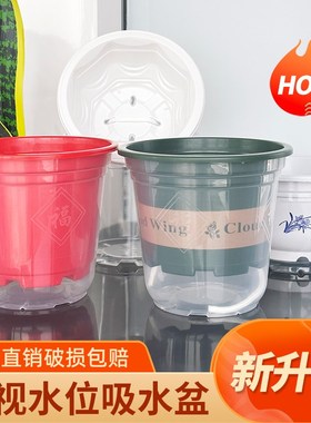 速发绿箩花盆轻奢高级感塑料水培肉肉家用白色透明水人自动吸懒花