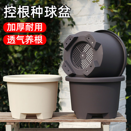 速发透气球根花盆圆形树根矮胖绣球朱顶红种球绿铃萝兰塑料透气控