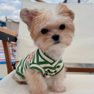 速发V领印尔小清新背心克约夏马花济斯春秋衣服猫咪新款