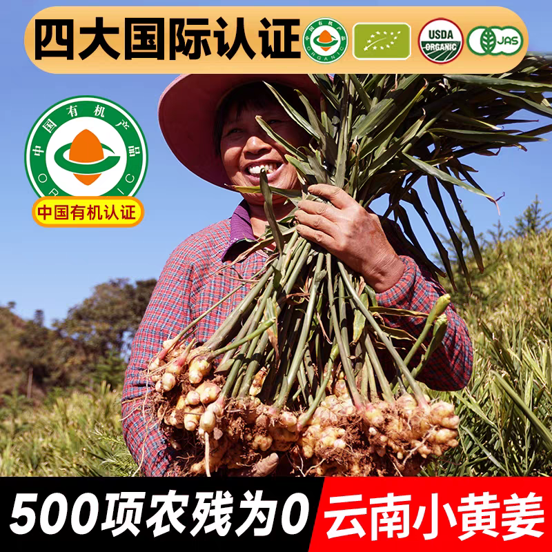 佰家珍品有机小黄姜鲜姜