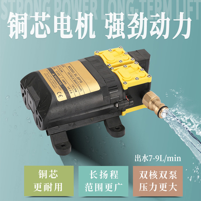 速发充电式手提泵便携式洗车浇菜户外抽水机家用电动喷雾器自动抽
