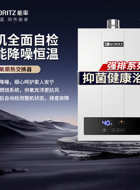 NORITZ/能率GQ-16F4AFEX/13F4AFEX 燃气热水器智能恒温强式排16升