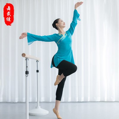 速发北舞汉唐舞水相基训练习服古典服袖和歌采薇表演舞民族舞纱衣