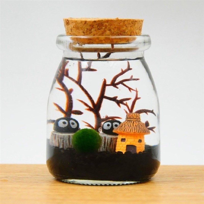 包邮海藻球微景观生态瓶水培球藻创意迷你植物室内盆栽绿植礼物