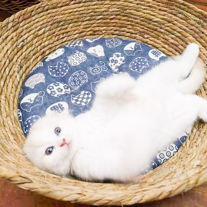 藤编猫窝夏季窝四季通用蒲草夏天凉席窝床猫抓板猫咪垫子宠物用品