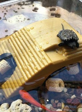 Reptile Platform Turtle Basking Aquarium Amphibian Aquatic