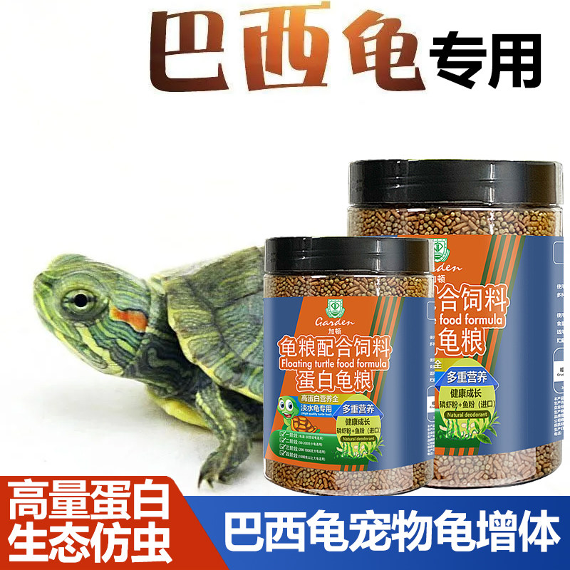 网红宠物巴西龟苗宠物饲料玄武小乌龟绿色巴西龟长寿龟家养龟饲料,宠物/宠物食品及用品,观赏龟/鳖饲料,淘宝优惠券,粉丝福利购,淘宝优惠卷
