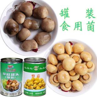 正宗口蘑草菇蘑菇罐头炒菜煲汤沙拉凉拌罐装食用菌菇烹饪食材425g