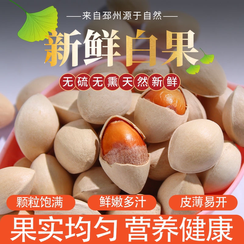 当季新货精选银杏果当季生白果带壳大果果仁均匀营养健康皮薄易开
