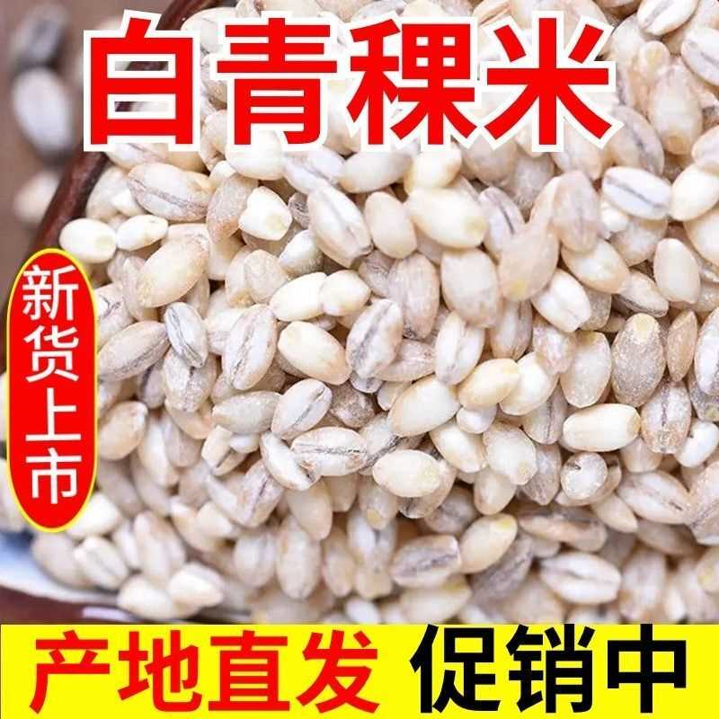 新白青稞米5斤 农家自种青海粮食去皮蓝青稞米青稞麦仁香米半斤