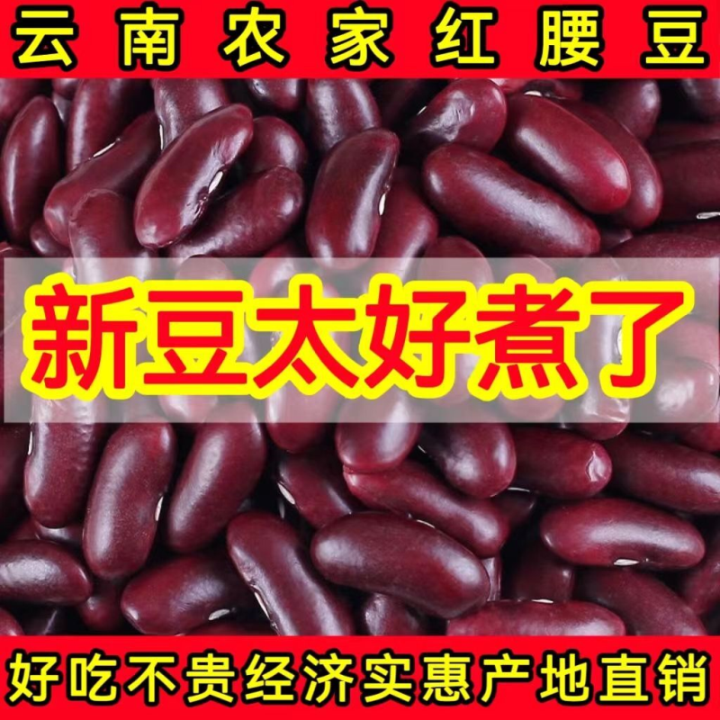 【新货】云南红腰豆农家四季豆干货酸菜红芸豆饭豆沙批发五谷杂粮