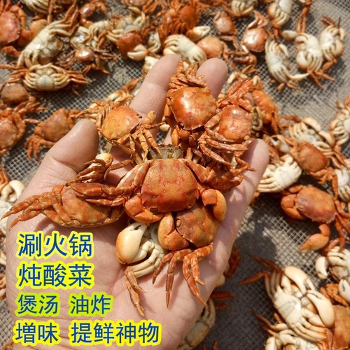 无干燥包 500克小螃蟹干货海鲜干虾乌拉火锅炖酸菜底料食材海蟹干