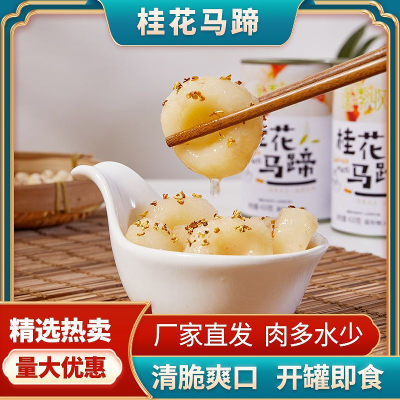 桂花新鲜马蹄罐头荸荠去皮休闲小吃零食马蹄即食商用火锅餐饮甜品