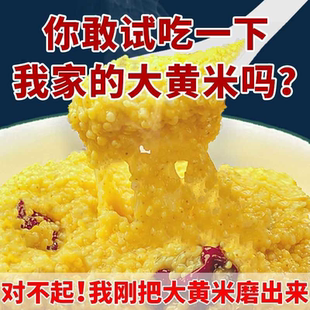 山西新大黄米5斤粘糯大黄米包粽子米煮粥黄米饭糜子年糕黏米30g