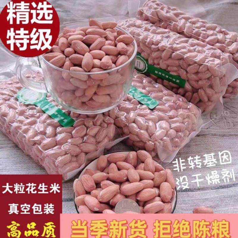 2024年现剥壳新花生米特级大粒不带壳山东新鲜粉皮长粒花生仁批发