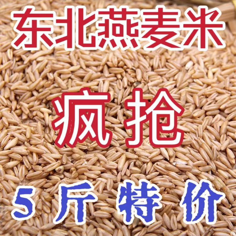 【5斤特价】燕麦米燕麦仁麦米全胚芽米燕麦燕麦颗粒粗粮五谷杂粮