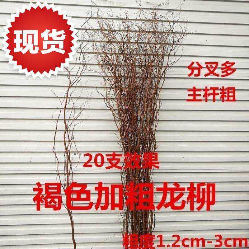 极速鲜枝龙条干枝鲜龙柳编制装饰手捧花干花心形拱8门树枝柳枝婚