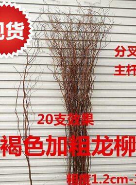 极速鲜枝龙条干枝鲜龙柳编制装饰手捧花干花心形拱8门树枝柳枝婚