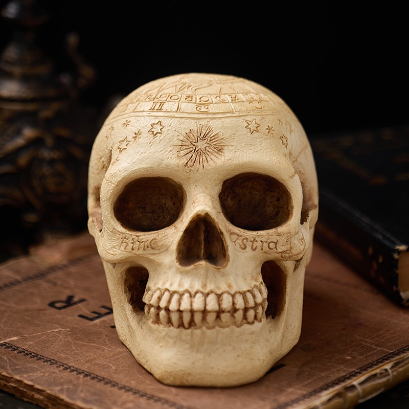 摄影拍摄道具骷髅头万圣节头骨摆件密室酒吧鬼屋密室恐怖装饰用品