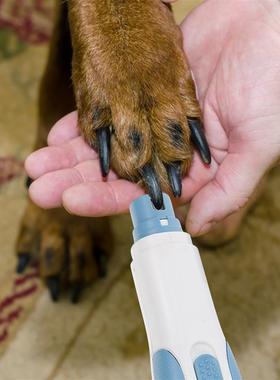 10Pcs Nail Grinder Replacement Head Grinding Wheel Pet Nail