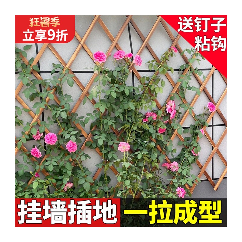 极速蔷薇爬藤架木栅栏围栏墙上月季支架壁挂室外阳台挂架花盆网格