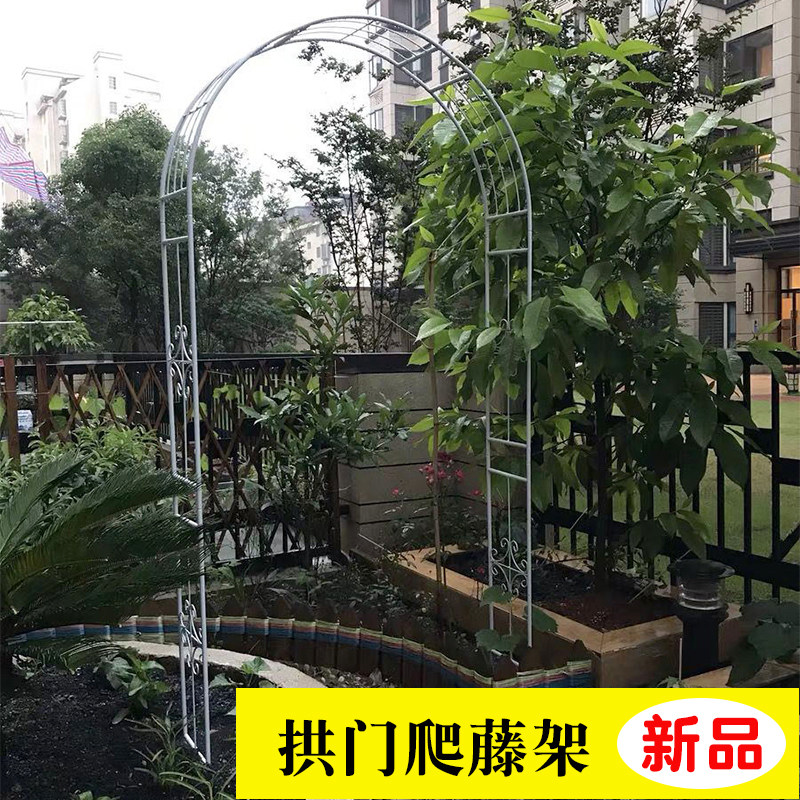 极速铁艺花园拱门花架支架爬藤架户外蔷薇茉莉葡萄欧洲月季藤本植