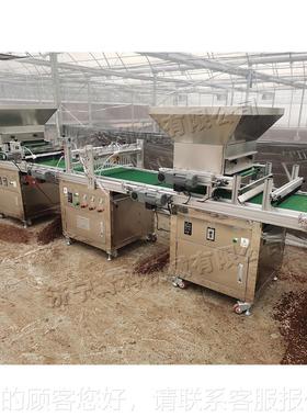 全自动穴盘育苗机 电感UTD秧苗种机 播光农田大棚铺应土压穴覆土