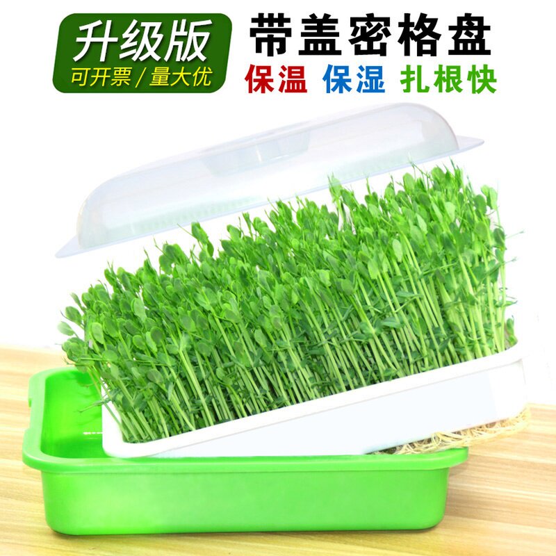 速发热卖芽苗菜水培托盘 豆芽菜育苗盘 豆苗种植盘无土栽培育苗盆